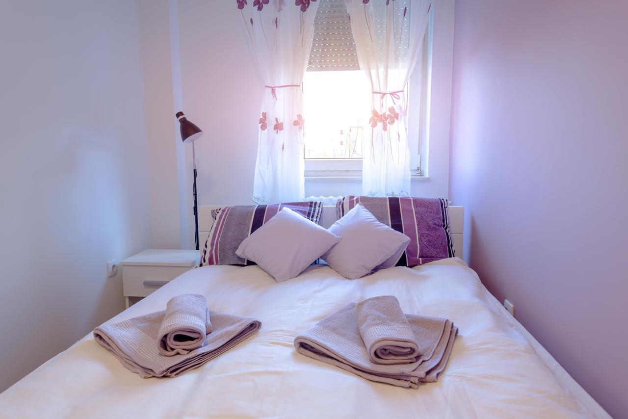Apartman Arte Novi Sad Bagian luar foto